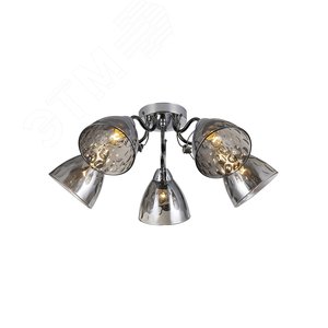 small_049e18e93b88325952f96b20592d3d2b