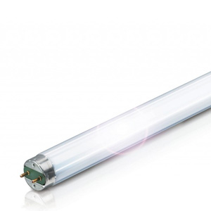 echbetv78rs8tqcaywunbfqxdxxx4974