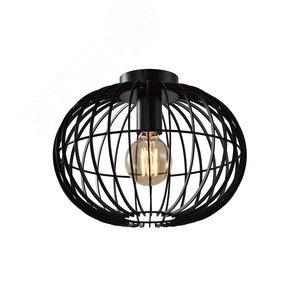 Светильник потолочный Rivoli Livia 5094-201 1 х Е27 40 Вт лофт-кантри Б0053053 