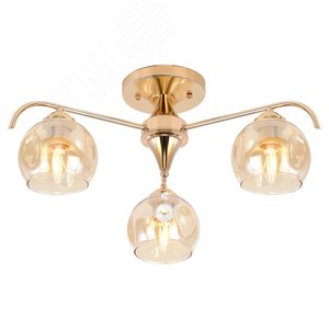 small_5e99d41e2481206104e8c0541916a48b