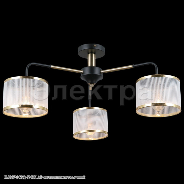 il0337_3csq_79_bk_ab_svetil_nik_potolochnyy
