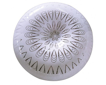 Светильник потолочный LED RICAMO 24Вт/6500К/General***