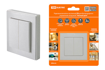 Радиовыключатель настенный РВ2 (2 клав.) для беспроводного управления нагрузкой  TDM