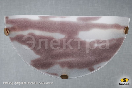 ЛИ-00010459