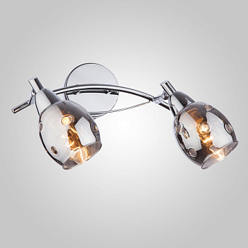 Светильник спот Eurosvet 20050/2