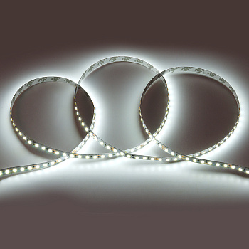 Лента PRO 2835 60LED/м12V 9.6Вт /холодный белый/ IP20