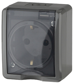 Розетка 1-я с/з наружная с крышкой IP54 16А Эра Эксперт серый