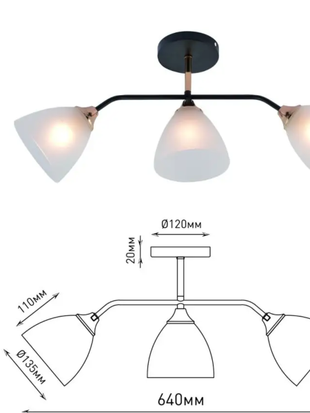 загруженное (1)