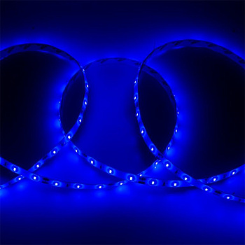 Лента 2836 60LED/м 12V/4.8Вт м /синий/IP65 / General