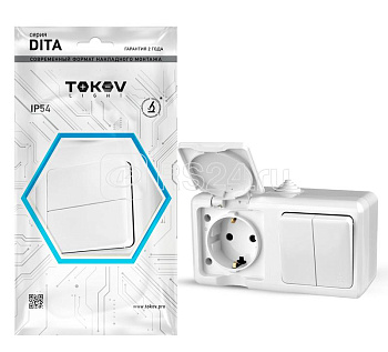 Блок ОУ Dita Tokov IP54 розетка 16А с землей +выключатель 2клавиши 