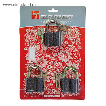 Замок навесной СТАНДАРТ ВС2-27х3/МАСТЕР КЛЮЧ